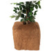 Plantbeschermende Kokosmat - 150x50cm Plantbeschermende Kokosmat - 150x50cm