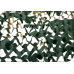 Schaduwdoek Camouflagedoek - Groen - 2x3 m