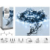 Kerstverlichting 40 led- 3m - wit - Timer - Lichtfuncties - Geheugen - Buiten Kerstverlichting 40 led- 3m - wit - Timer - Lichtfuncties - Geheugen - Buiten