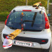 easystrap Tie-down set easystrap Tie-down set
