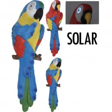 Papegaai met solarogen