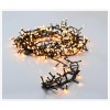 Microcluster - 1000 led - 20m - extra warm wit - Timer - Lichtfuncties - Geheugen - Buiten